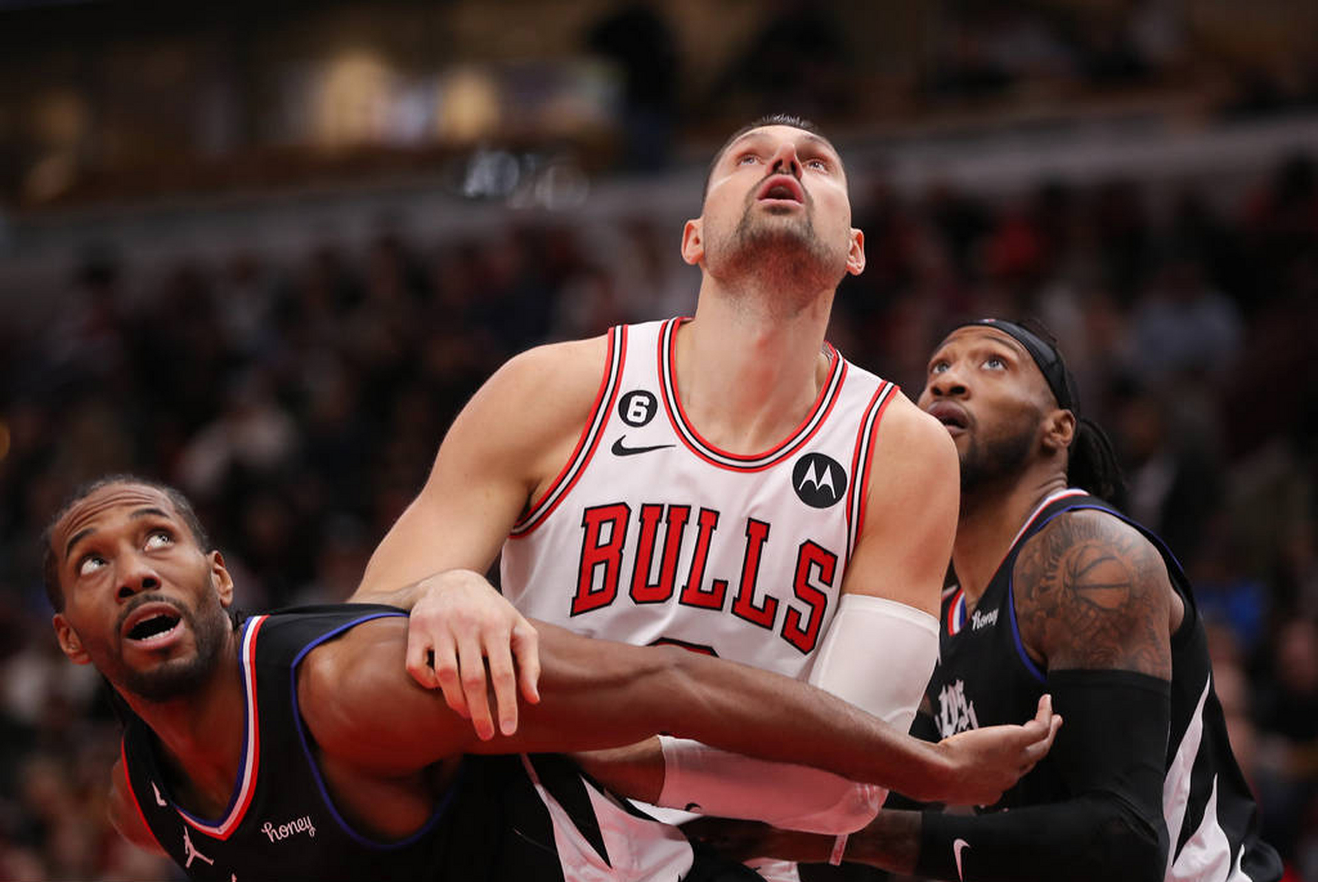 AYX- 公牛队全明星 